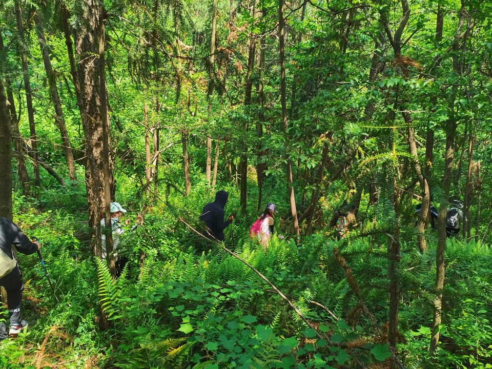 微信图片_20220505215128