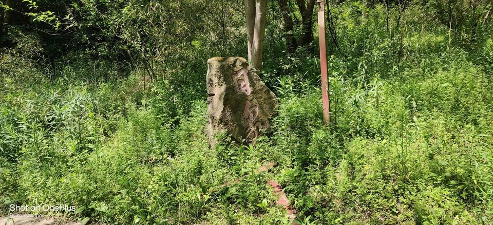 微信图片_20220505215138