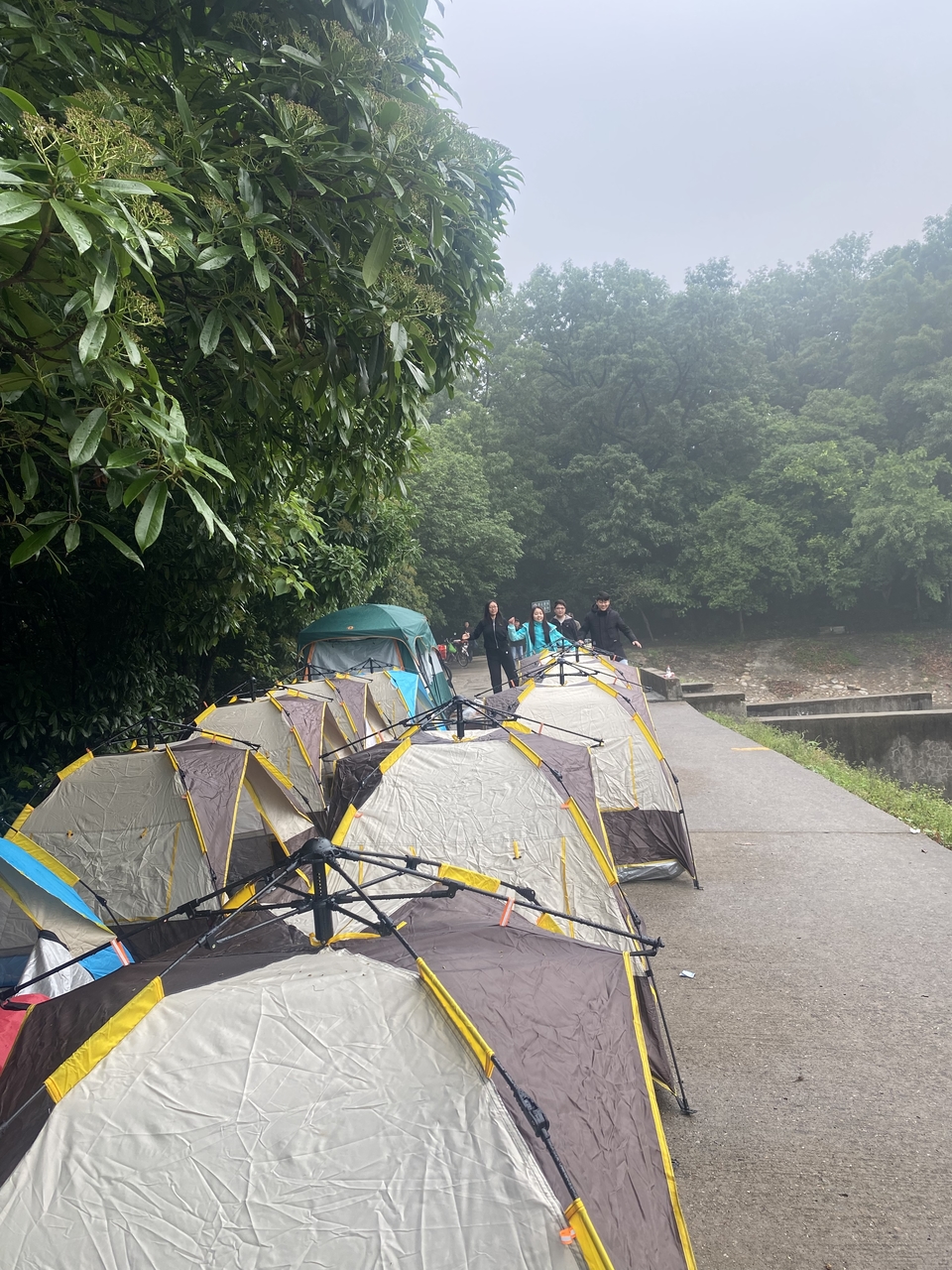 微信图片_20220505135503