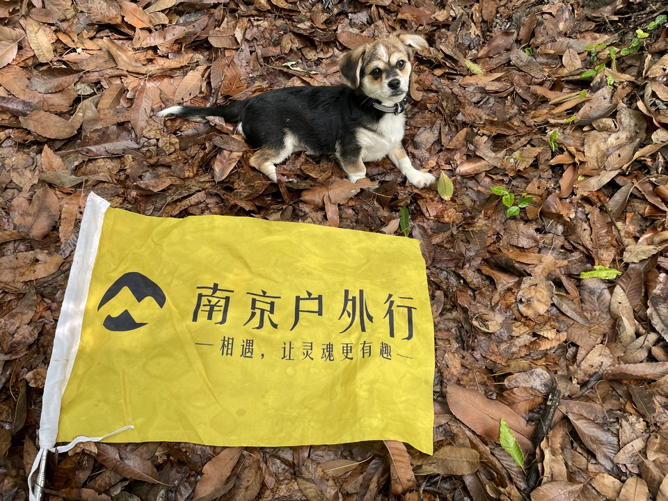 微信图片_20220505135631