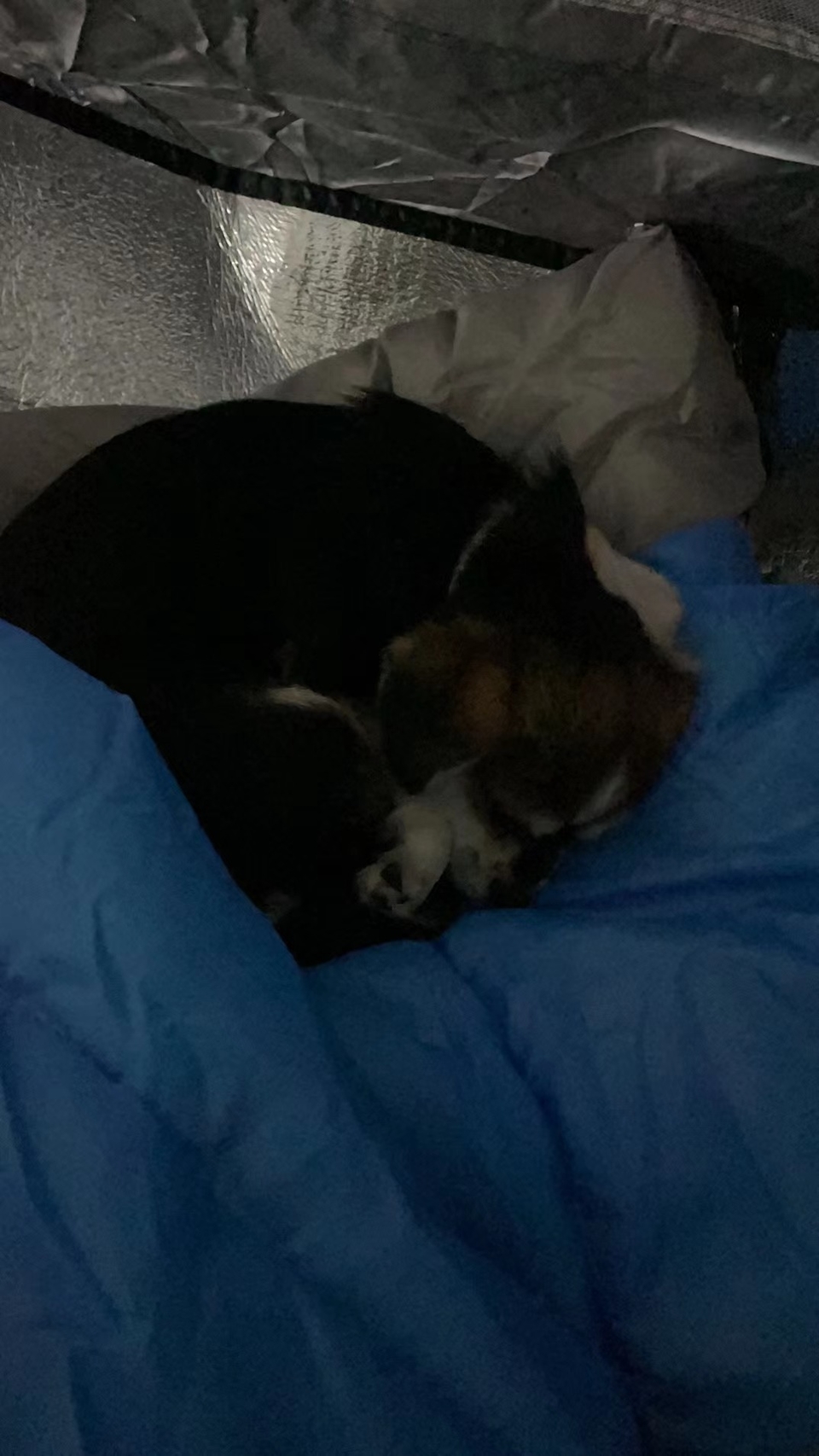 微信图片_20220505135753