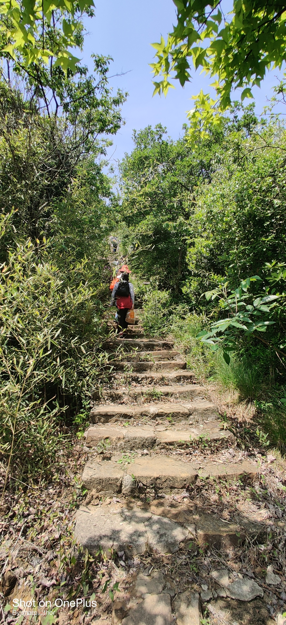 微信图片_20220505215211