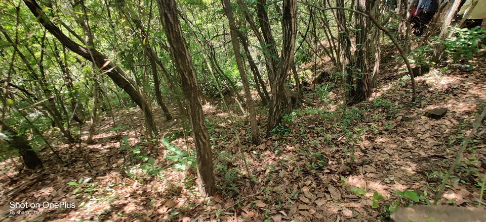 微信图片_20220505215243