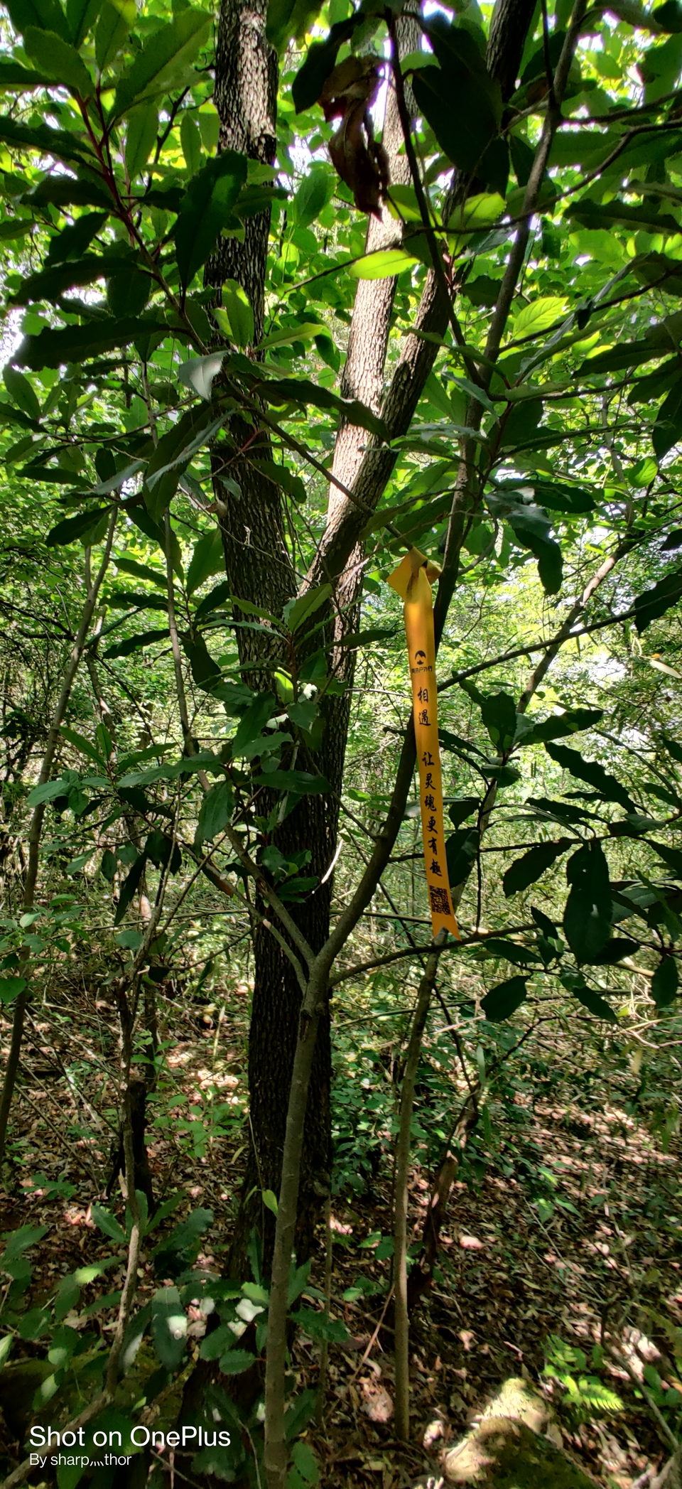 微信图片_20220505215248