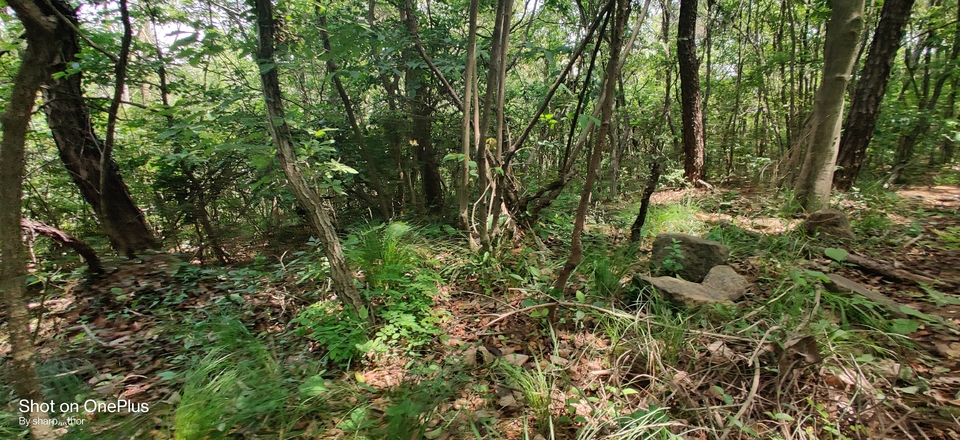 微信图片_20220505215254