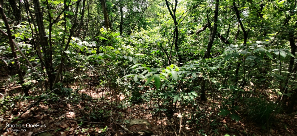 微信图片_20220505215259