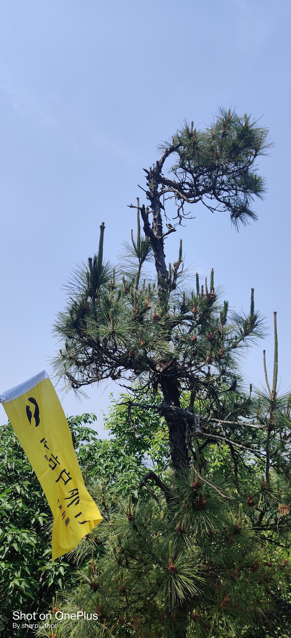 微信图片_20220505215444