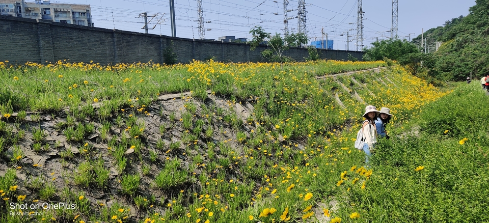 微信图片_20220505215503