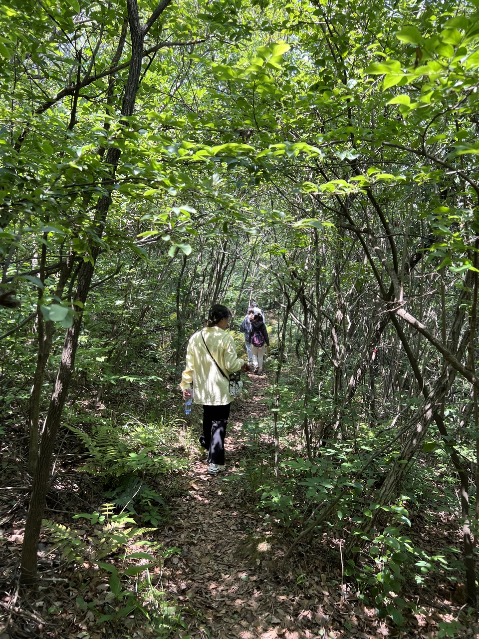 微信图片_20220505215704