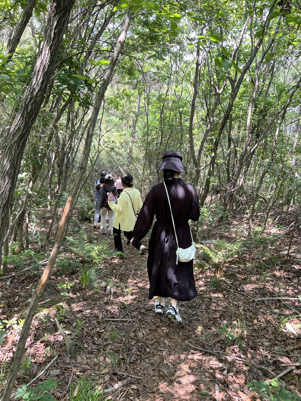 微信图片_20220505215738