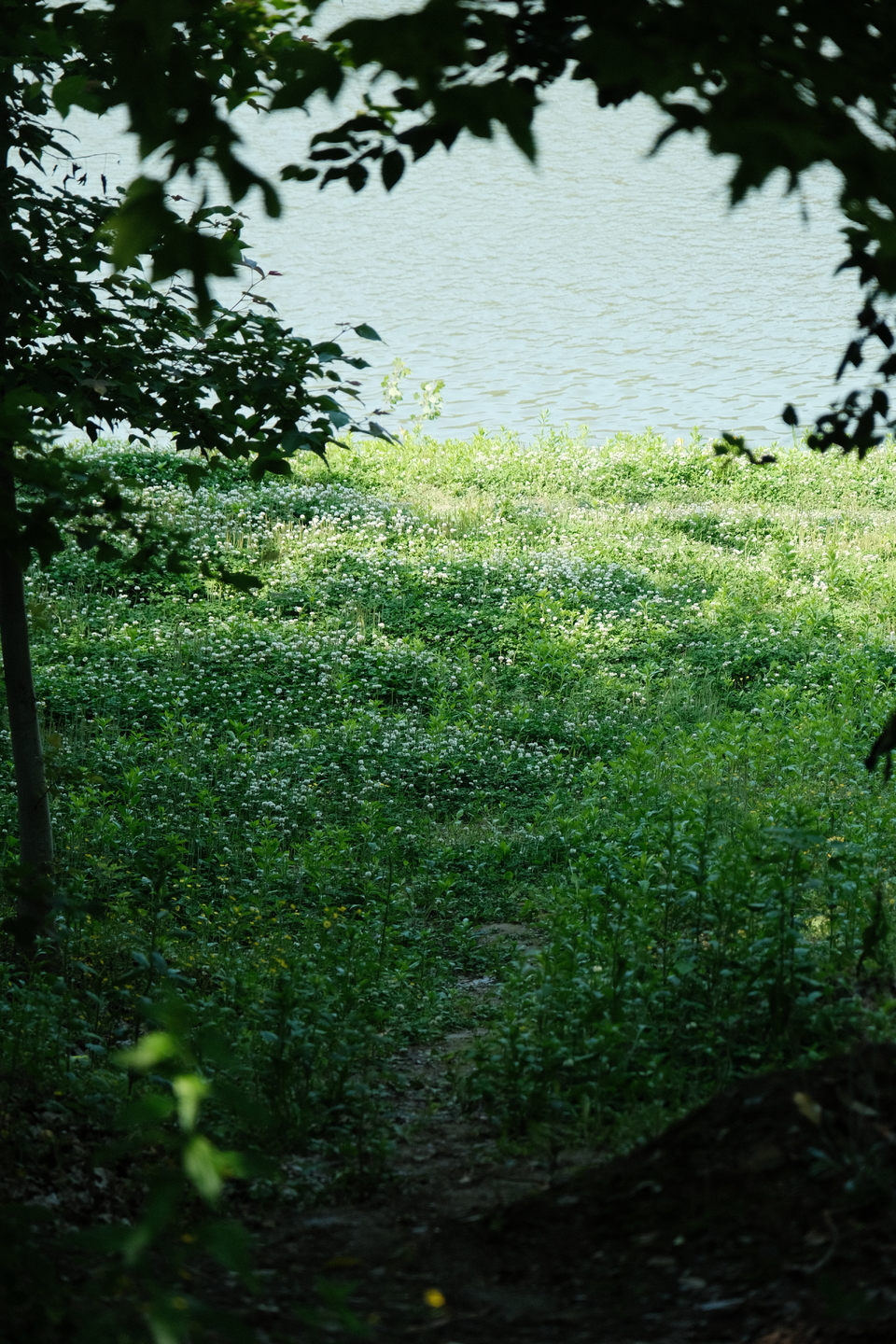 微信图片_20220505220929