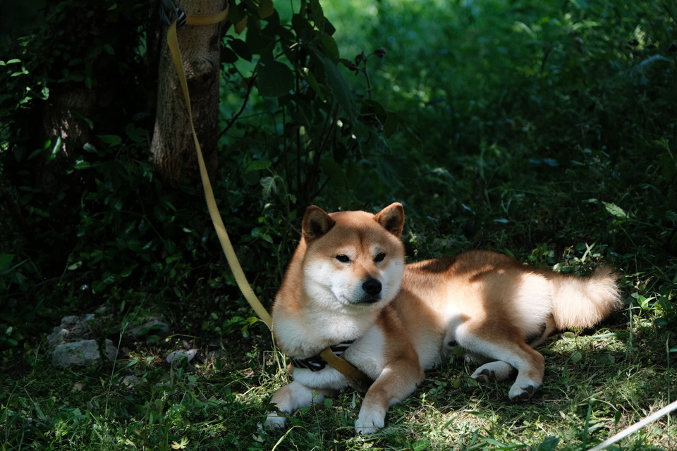 微信图片_20220505220937