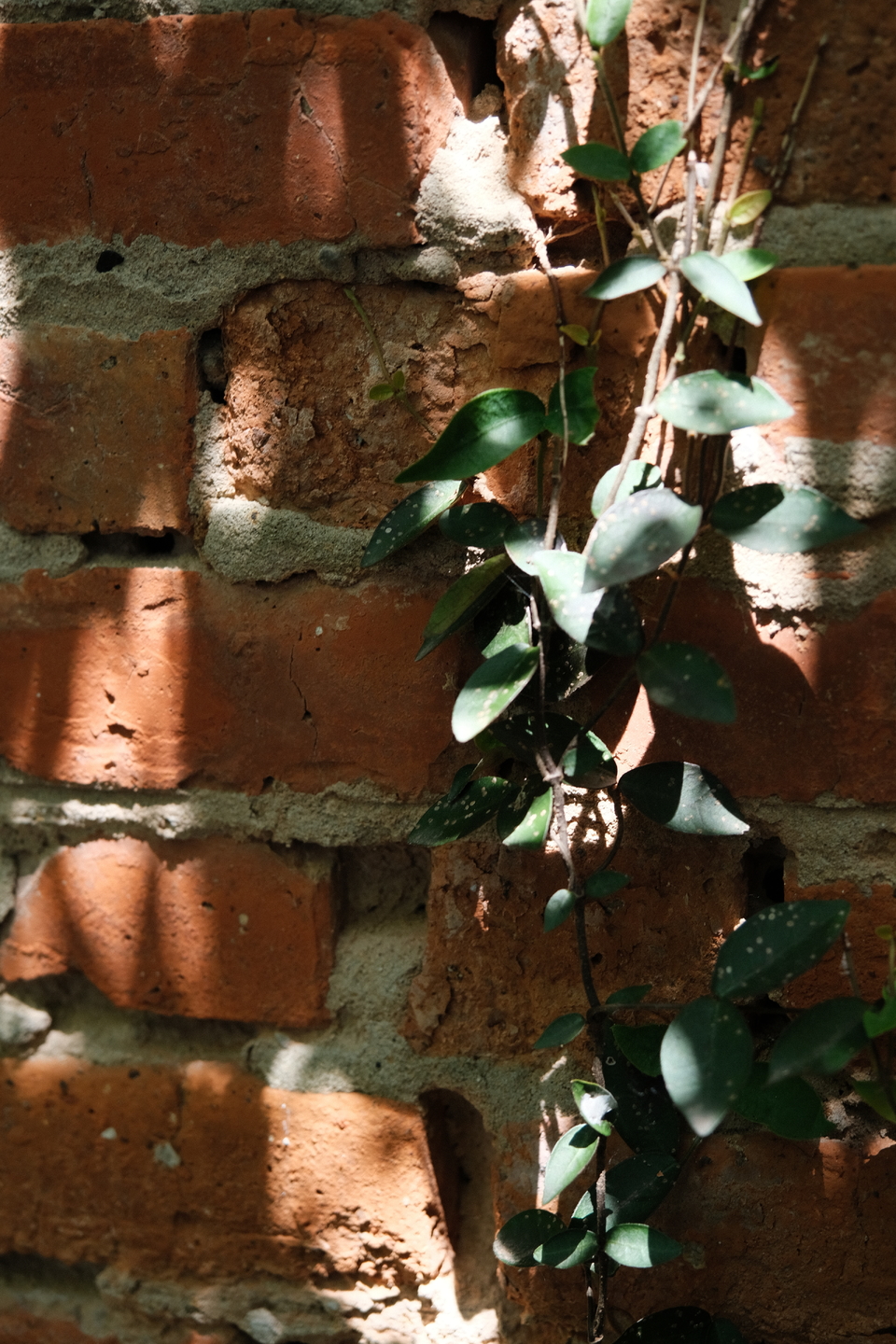 微信图片_20220505221022