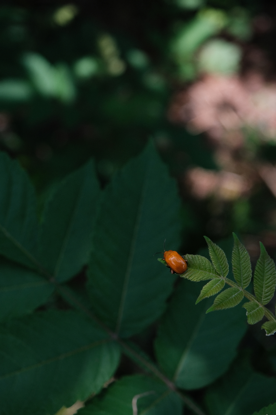 微信图片_20220505221027