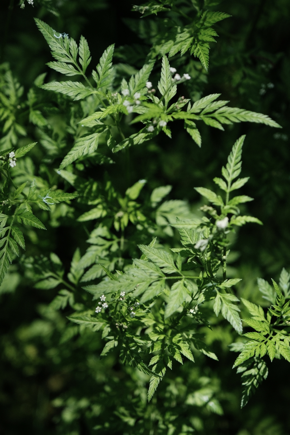 微信图片_20220505221037