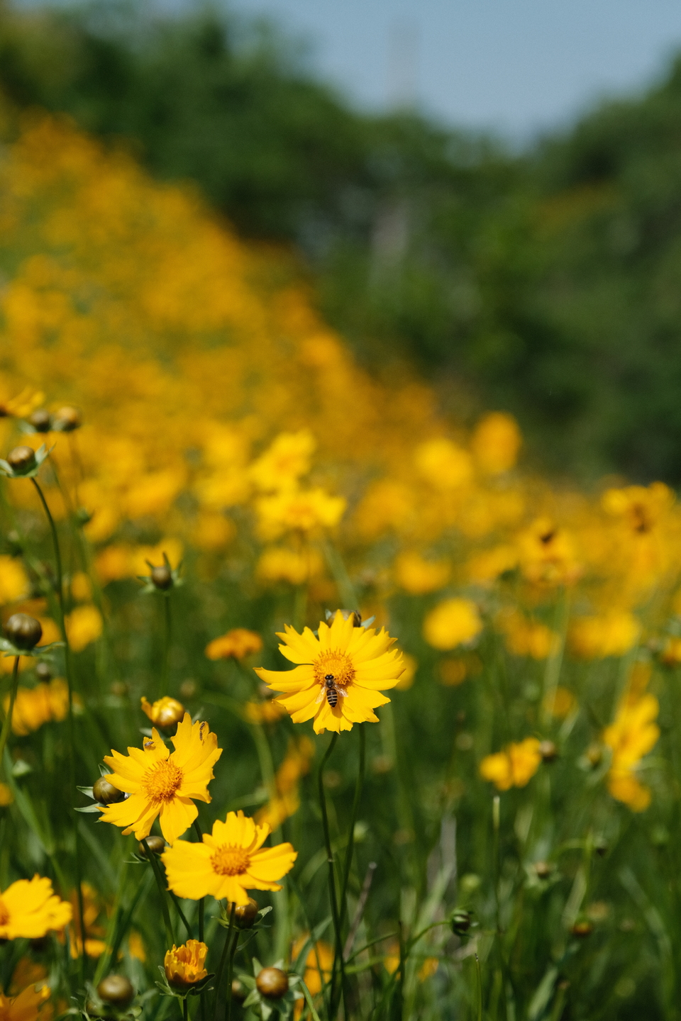 微信图片_20220505221156