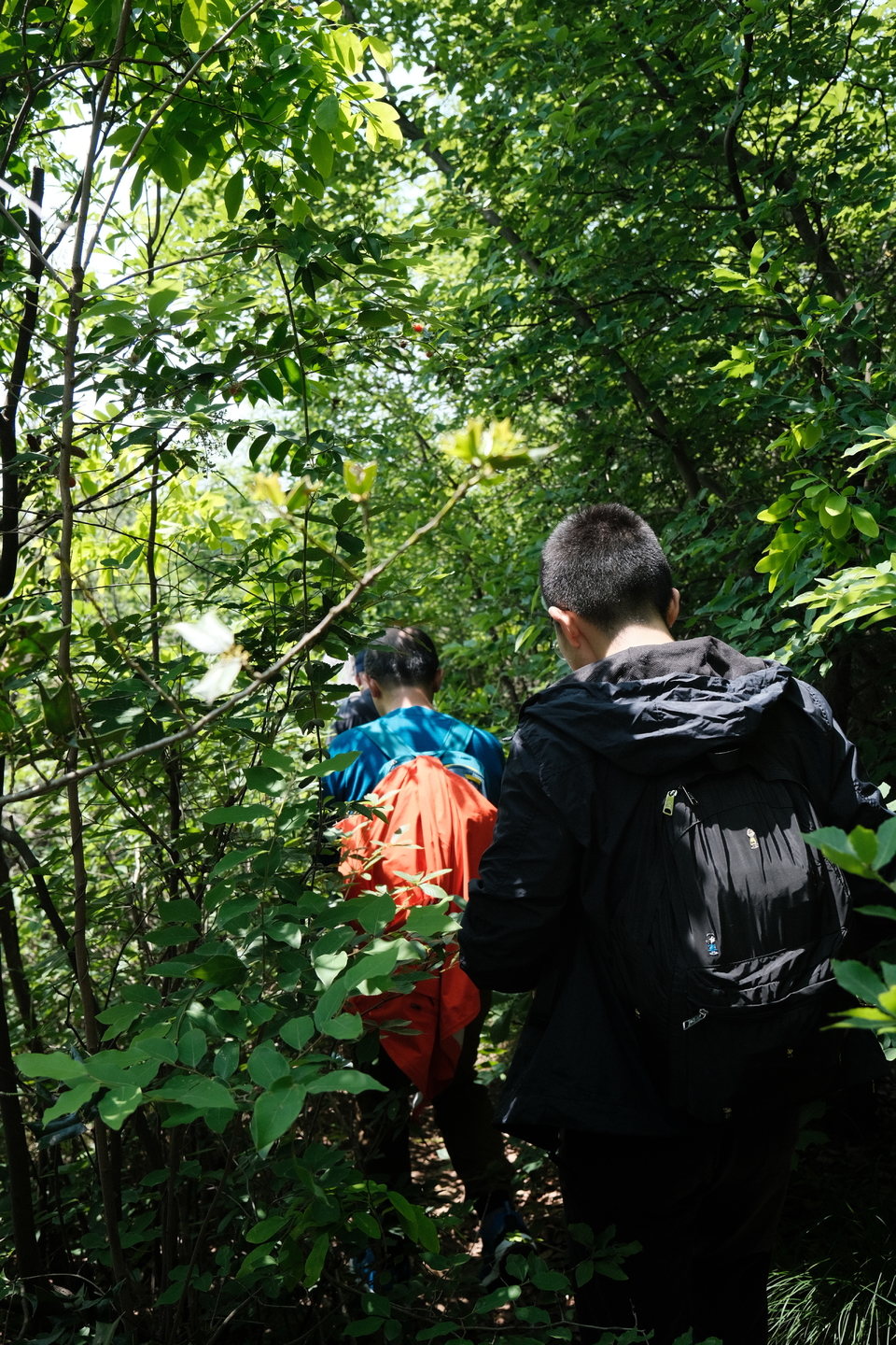 微信图片_20220505221501