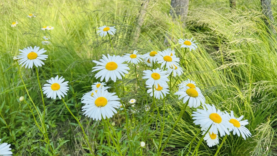 微信图片_20220506204219