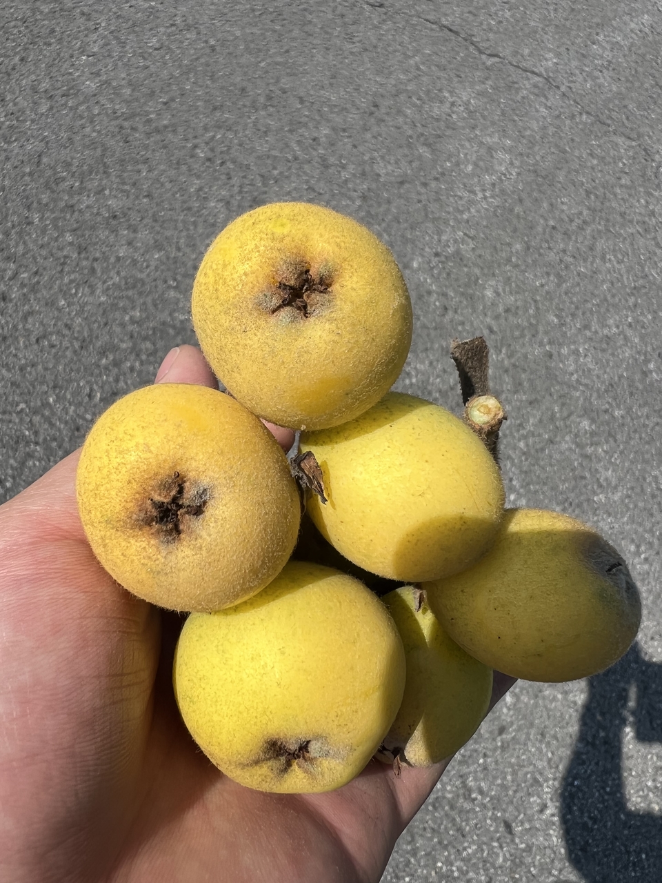 微信图片_20220506204316