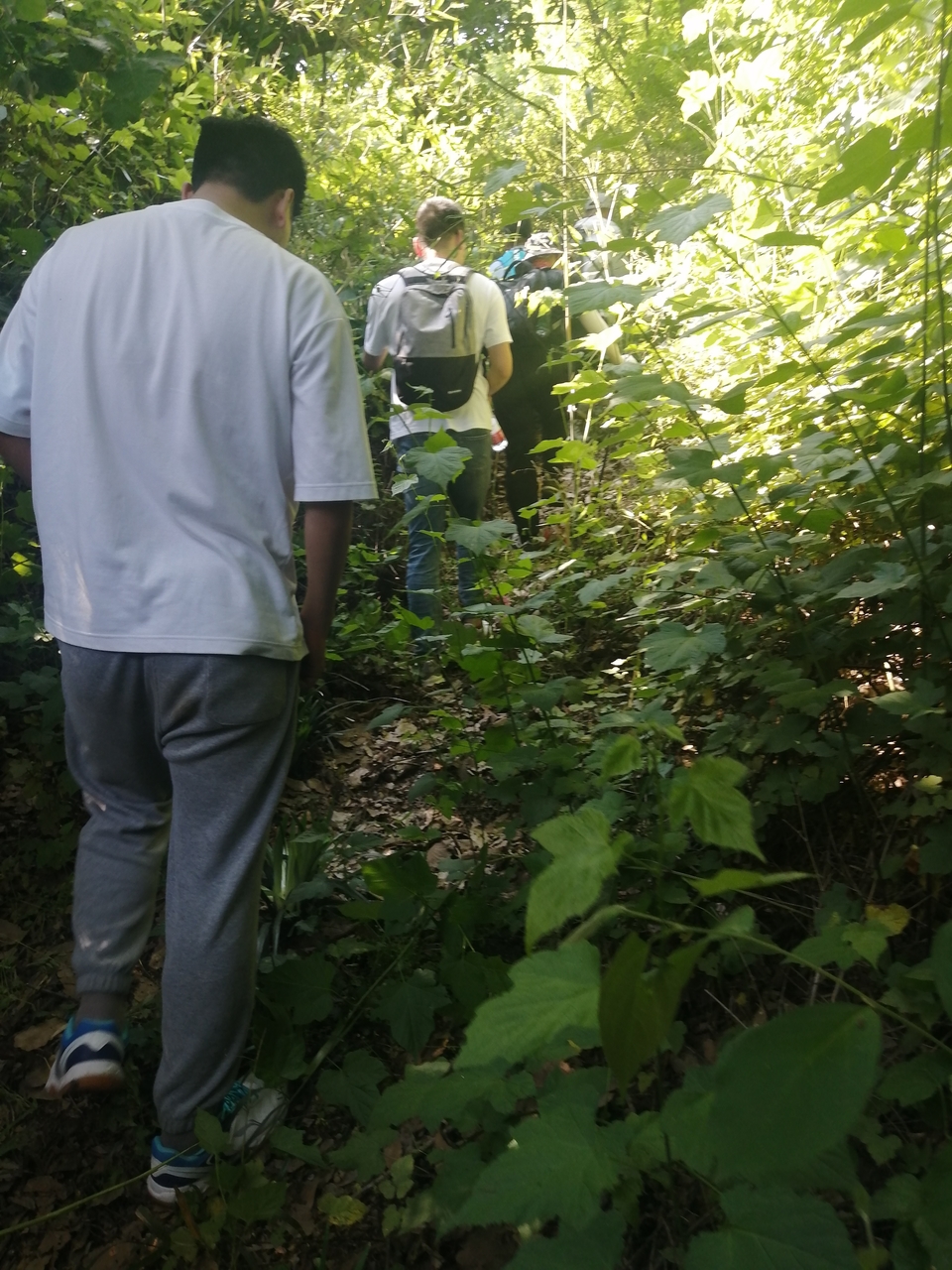 微信图片_20220506205013