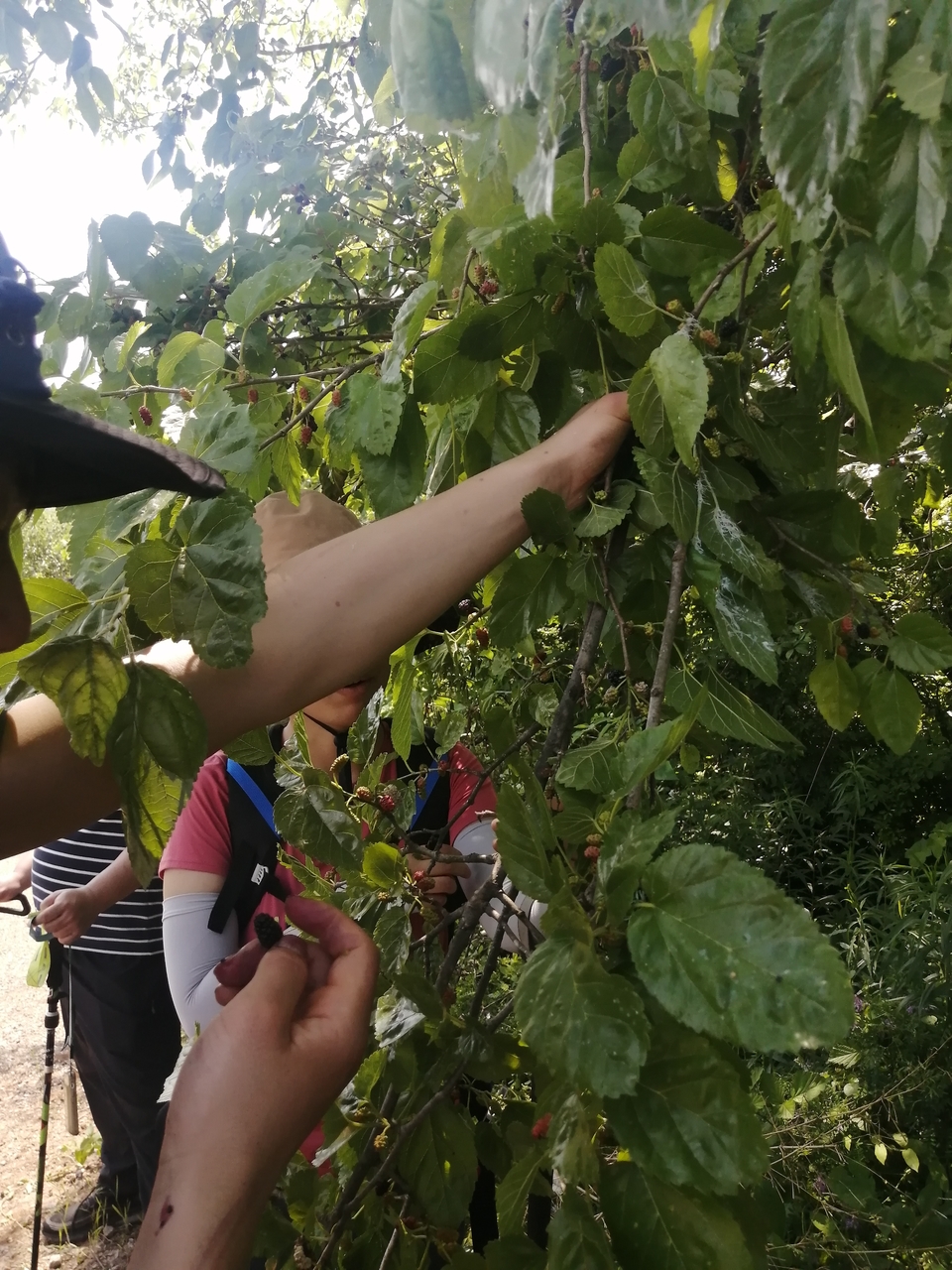 微信图片_20220506205017