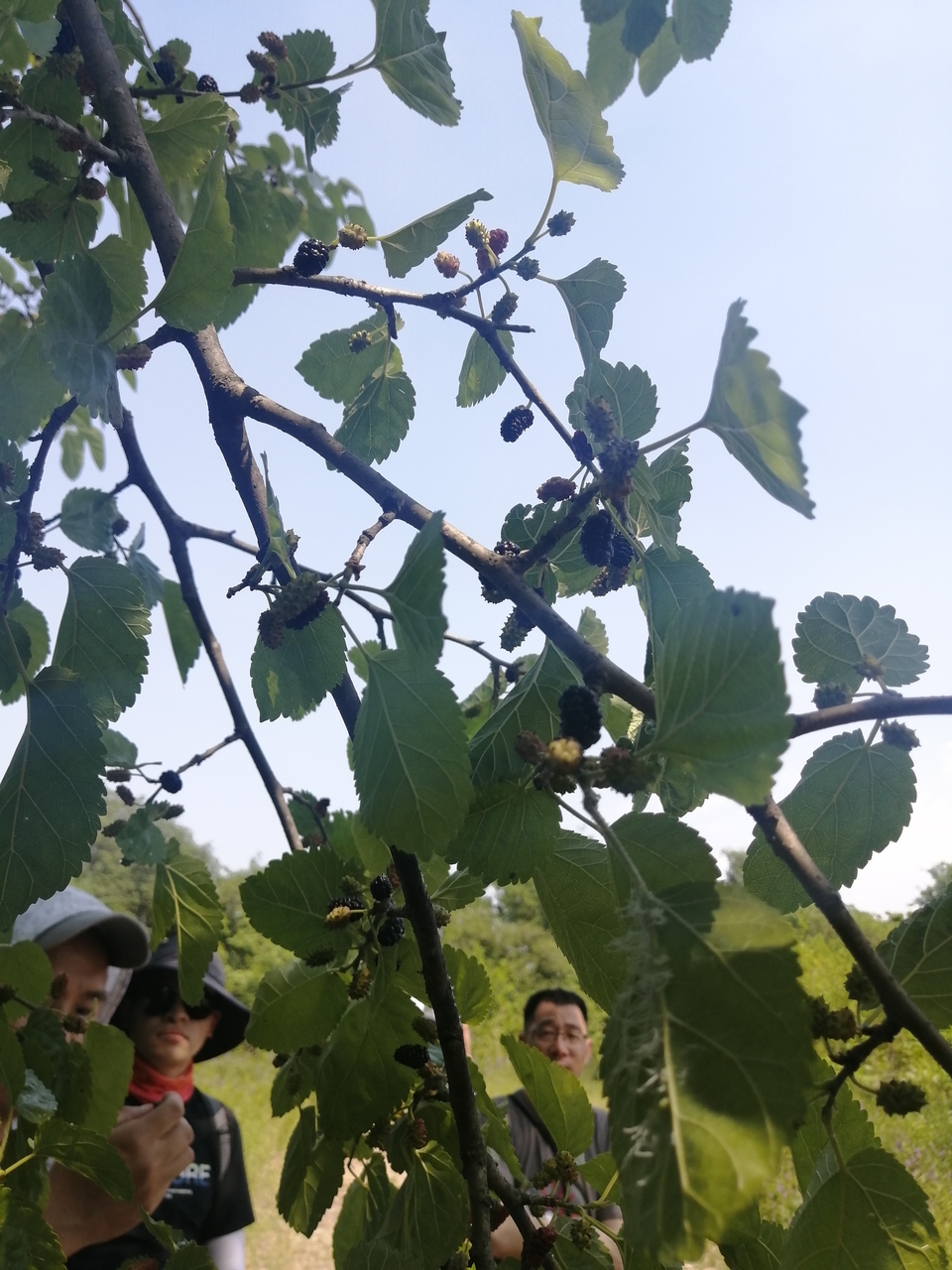 微信图片_20220506205021