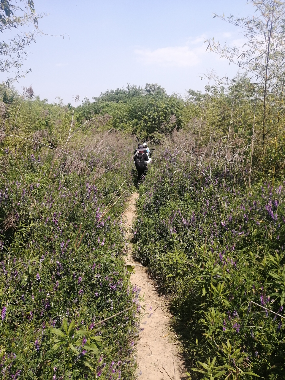 微信图片_20220506205040