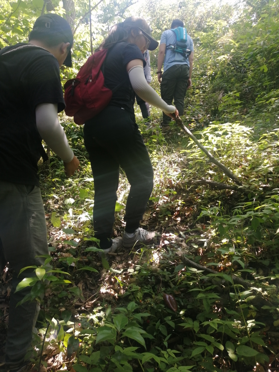 微信图片_20220506205045