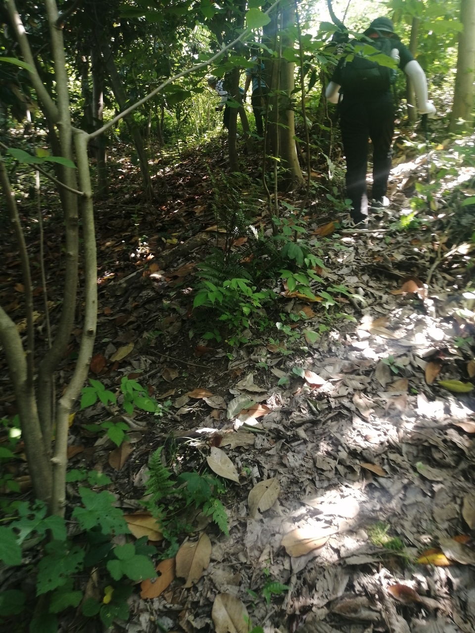 微信图片_20220506205049