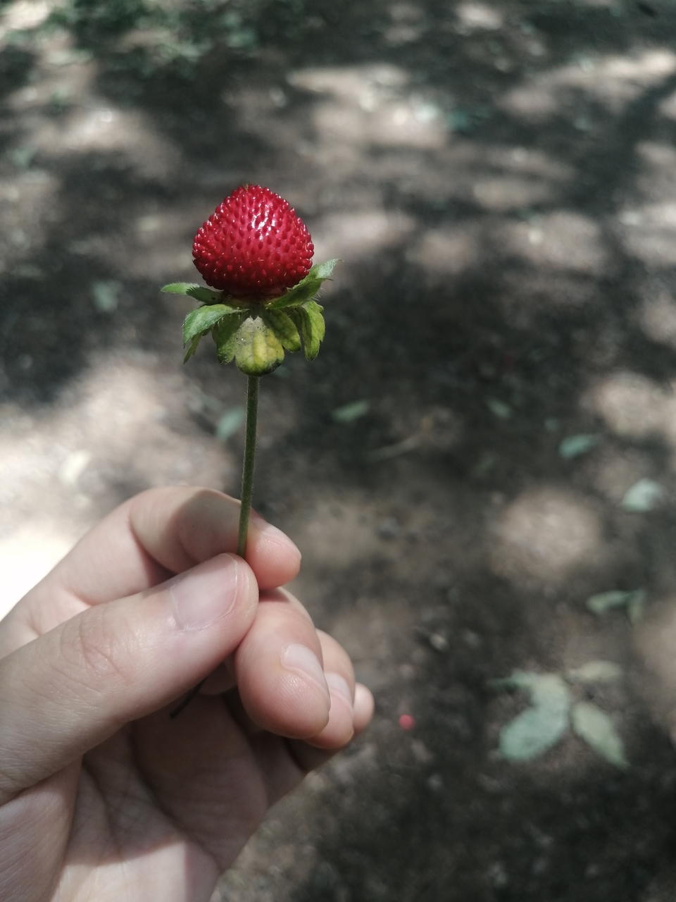 微信图片_20220506205059