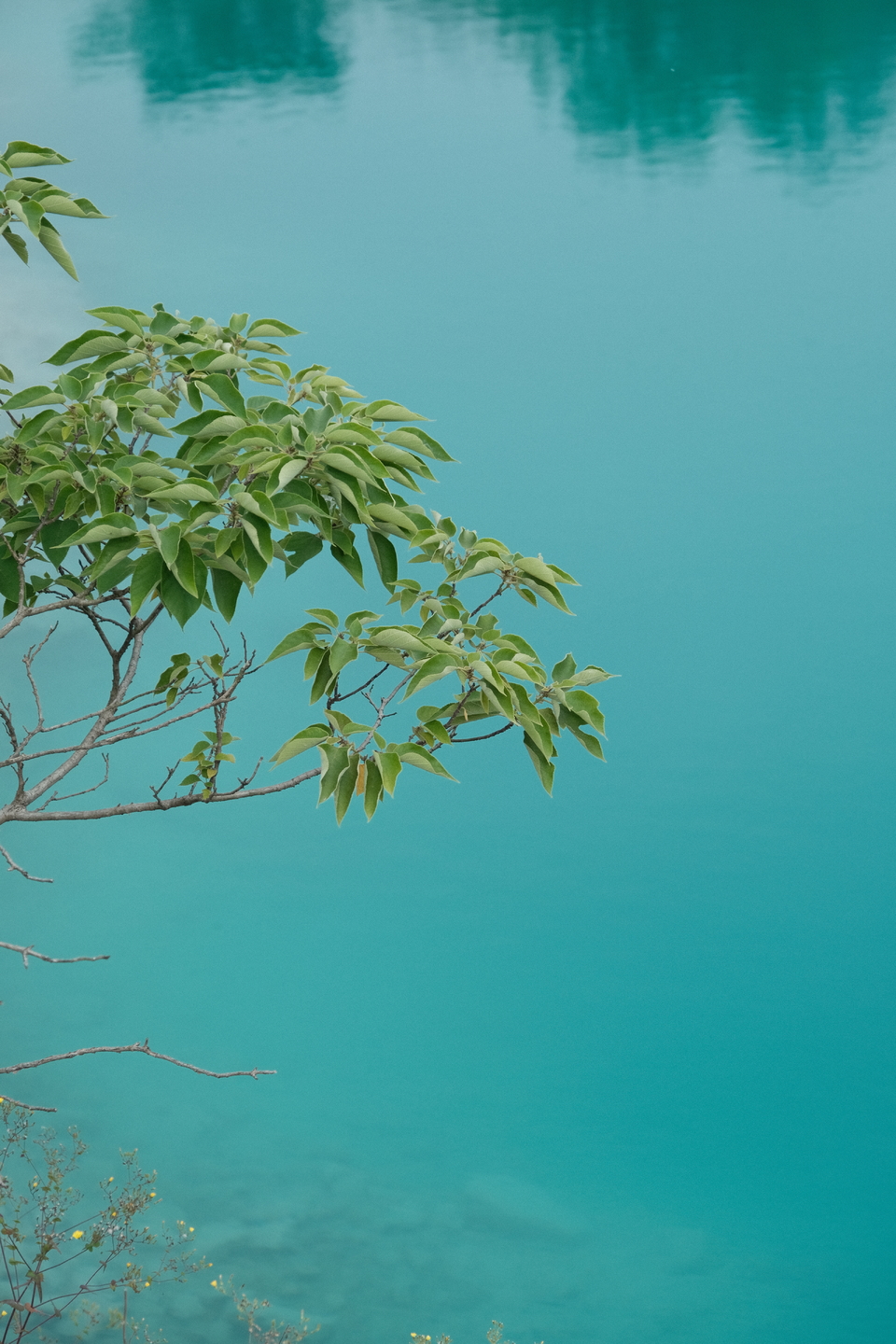 微信图片_20220515121738