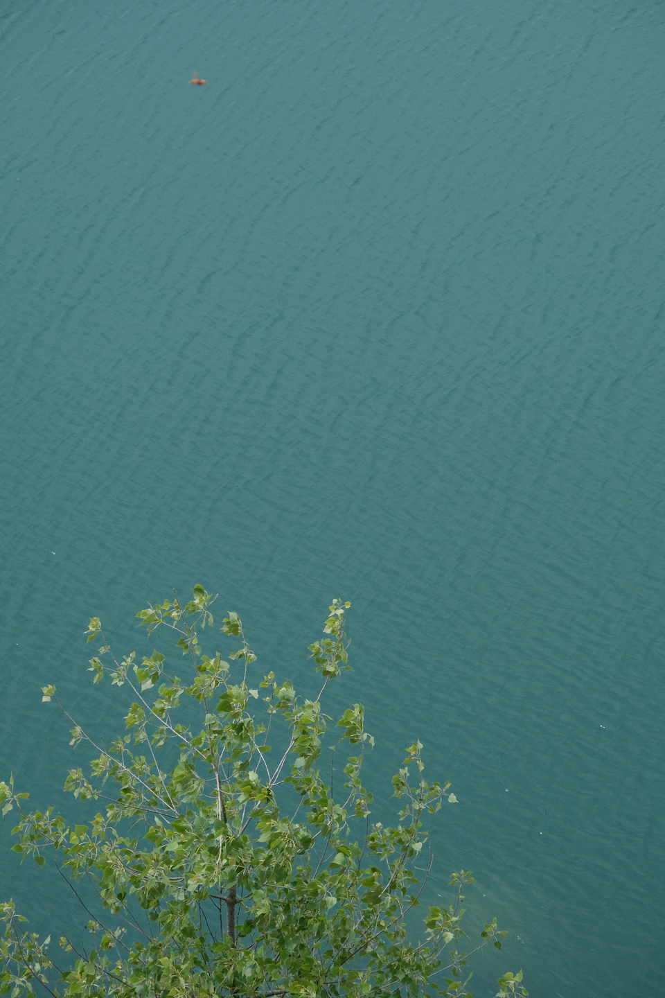 微信图片_20220515121840