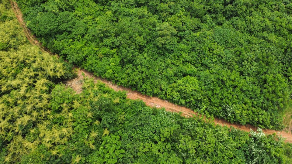 微信图片_20220515121900