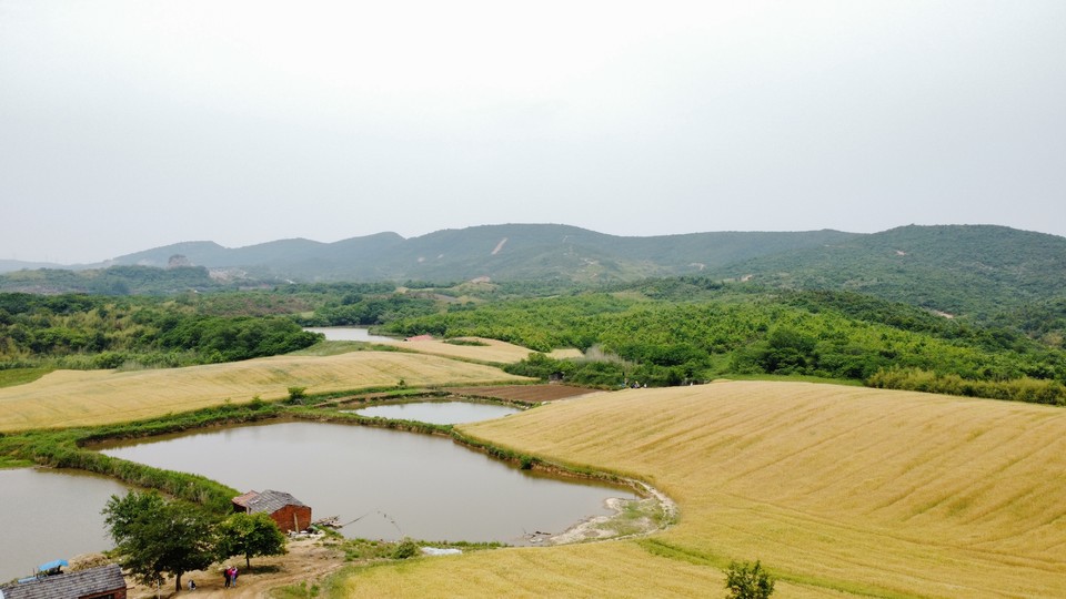 微信图片_20220515121904