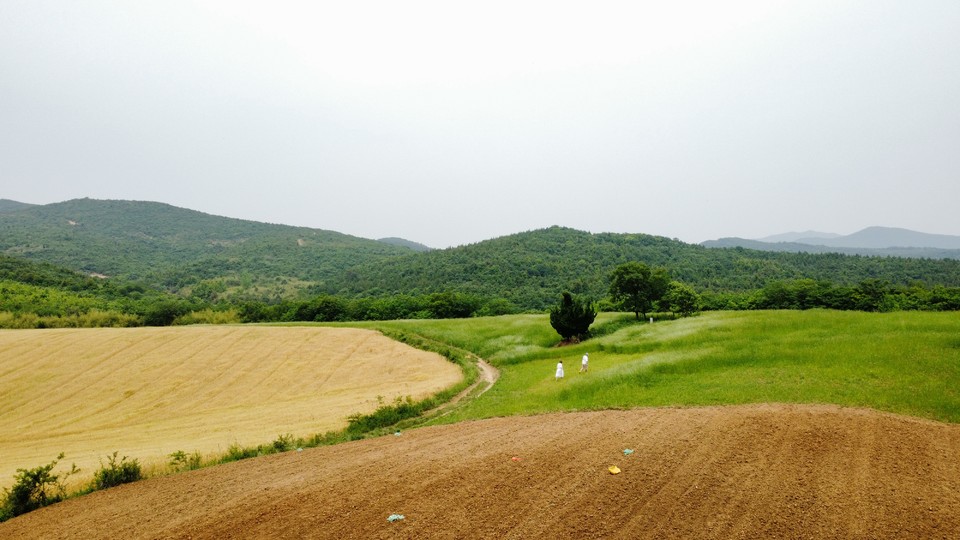 微信图片_20220515121908