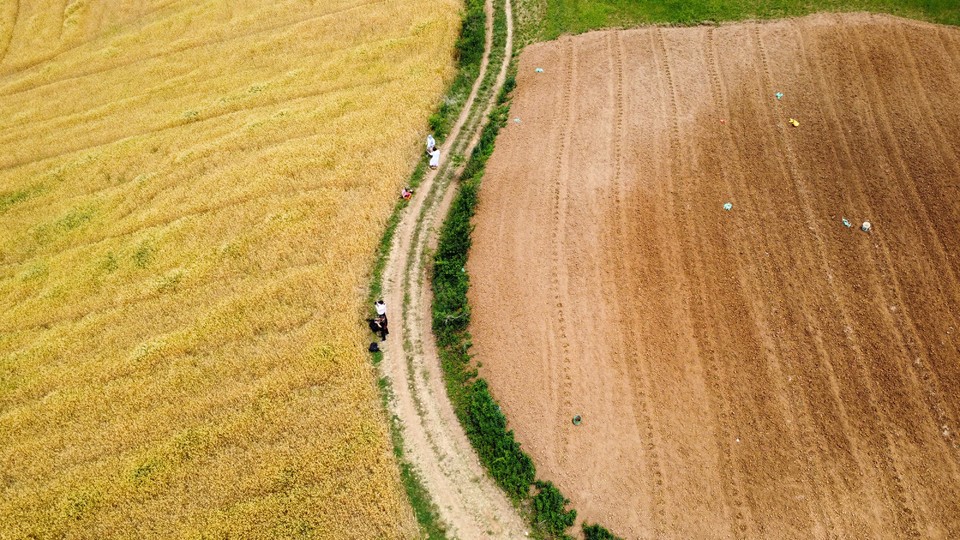 微信图片_20220515121918