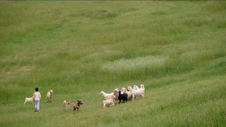 微信图片_20220515121921