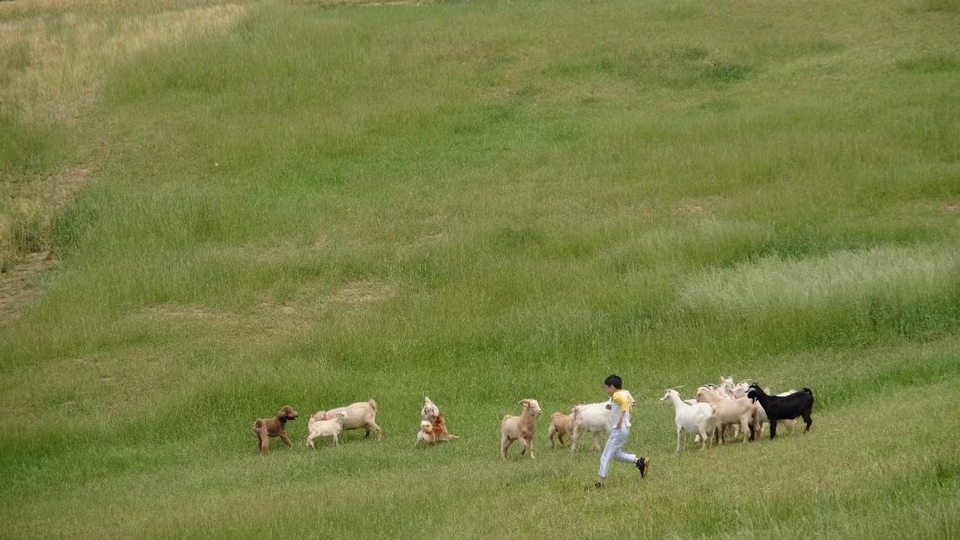 微信图片_20220515121925