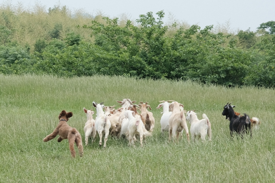 微信图片_20220515121928