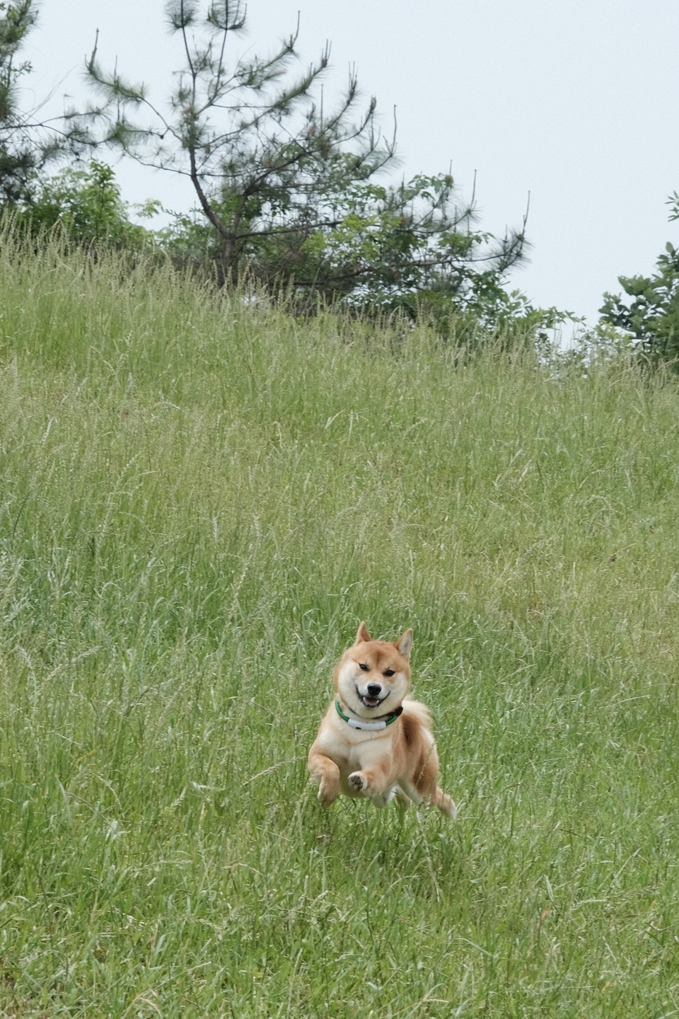 微信图片_20220515121933