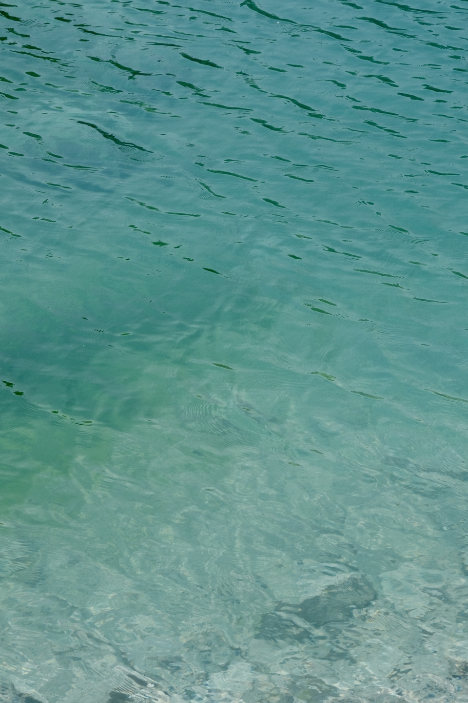 微信图片_20220515122003