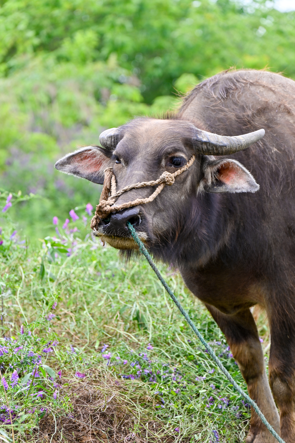 微信图片_20220515122318