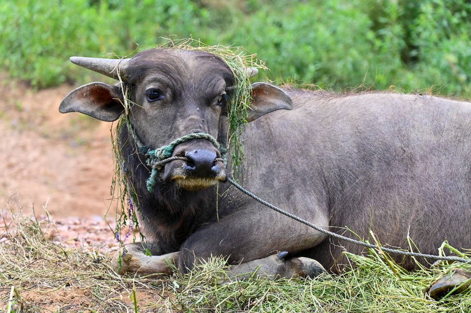 微信图片_20220515122323