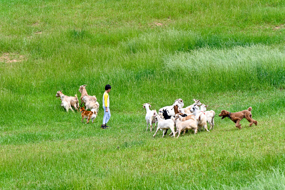 微信图片_20220515122331