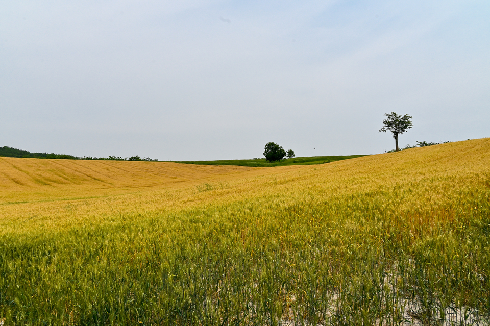 微信图片_20220515122337