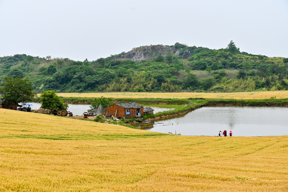 微信图片_20220515122342