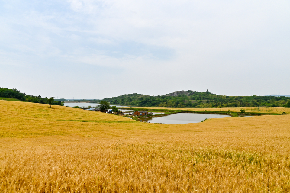 微信图片_20220515122348