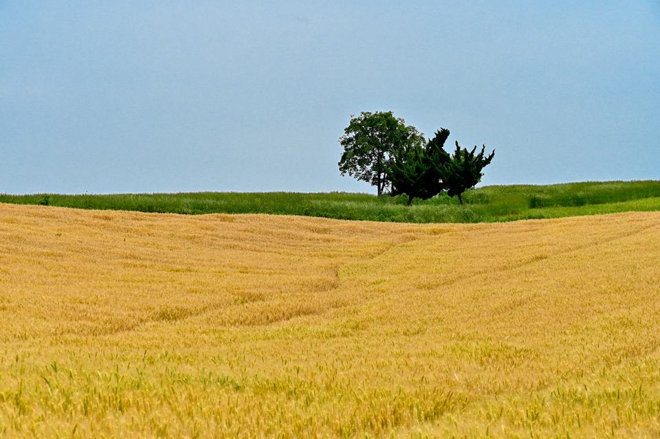 微信图片_20220515122354