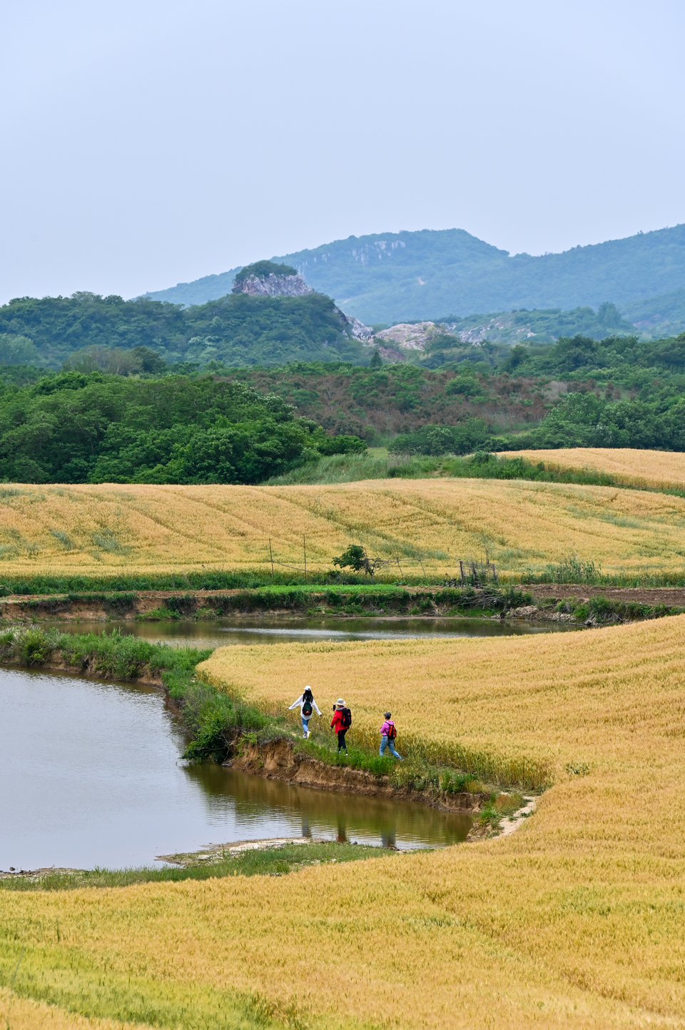 微信图片_20220515122359
