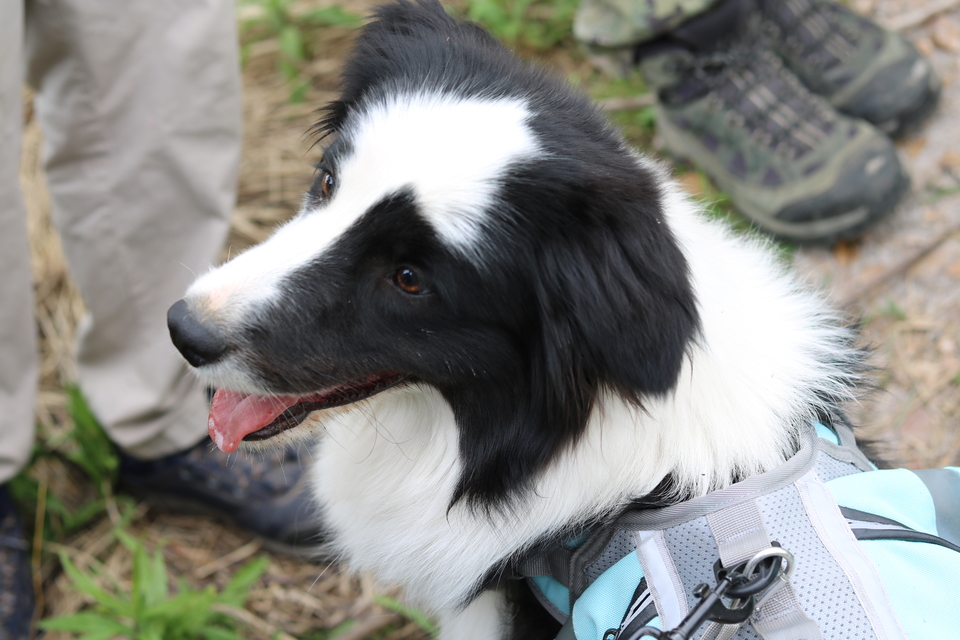 微信图片_20220515122839